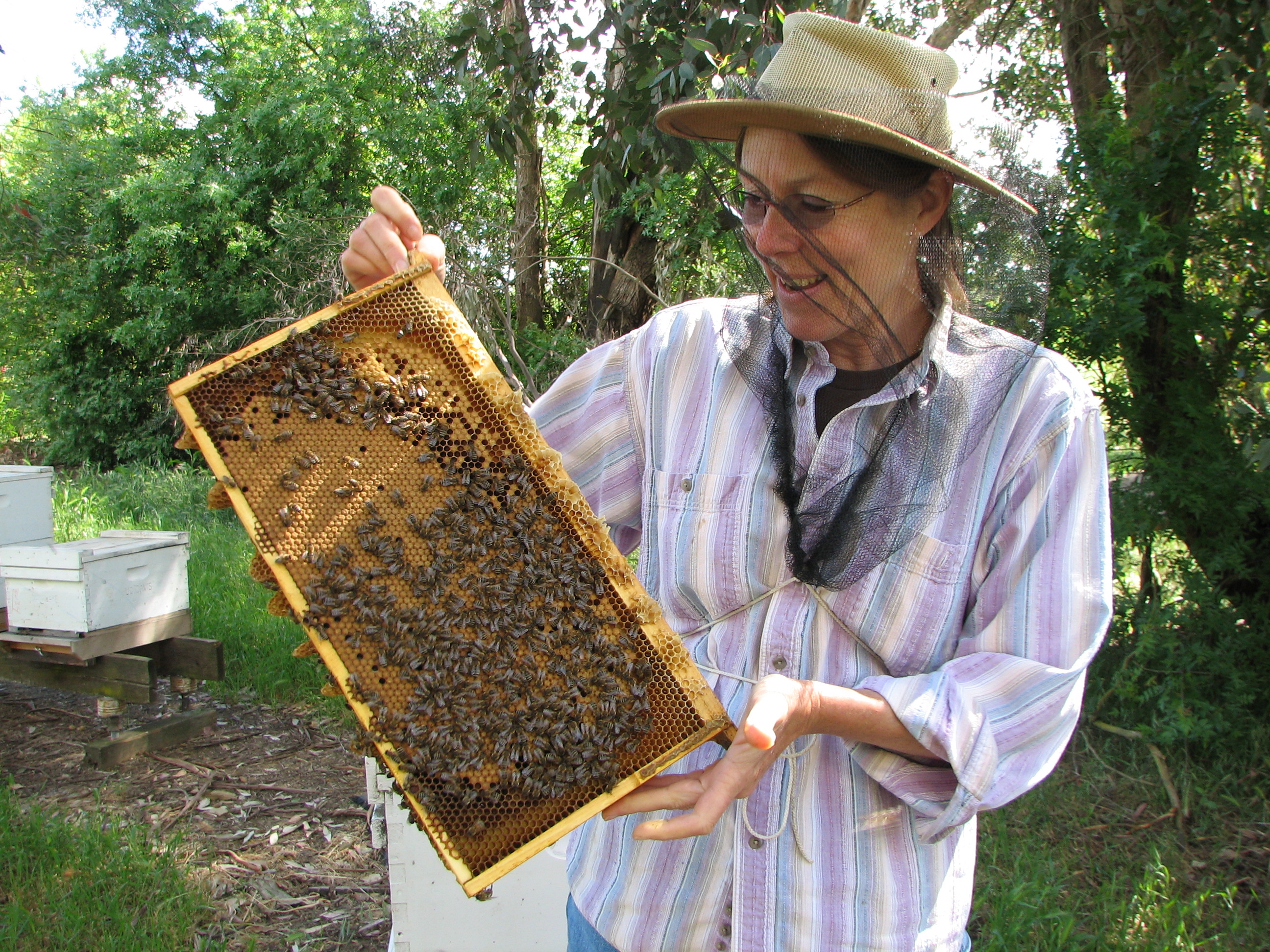 Sue Cobey and a frame laid by a New World Carniolan breeder queen