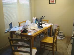Lab on dining room table