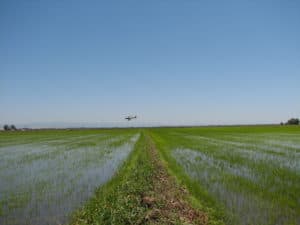 Plane over rice field.
