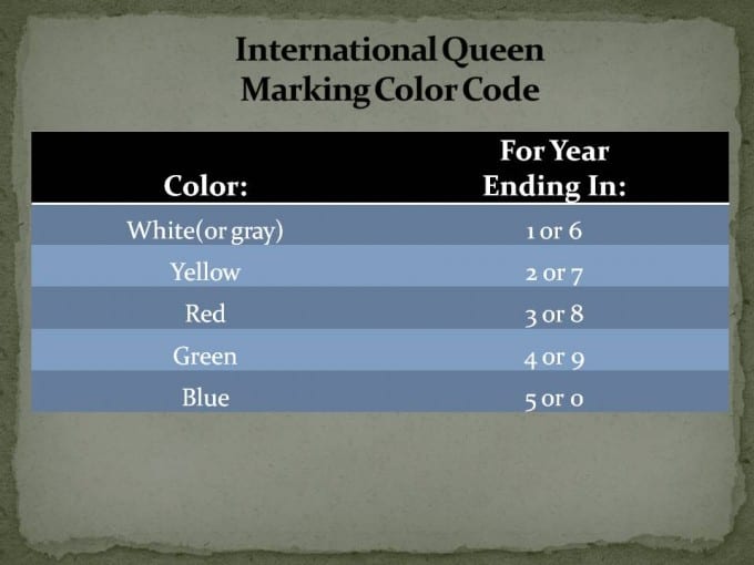 International Queen Marking Color Code Bee Informed Partnership