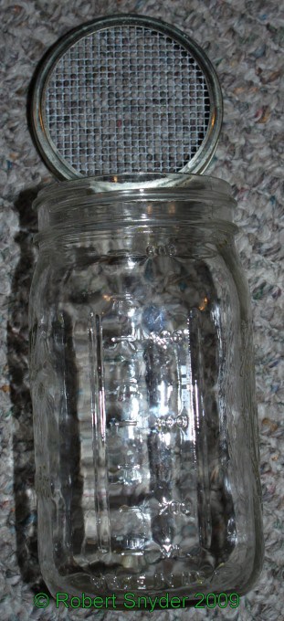 Sugar Roll Jar with lid and screen.