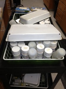 Tray of various materials for processing samples