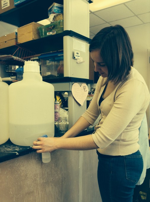 Sylviane filling sampling bottles with salt water.