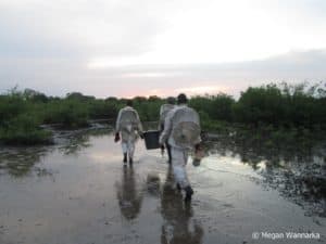 3 Farmers of a co-op of 20 going out at dusk in the mangroves to work bee hives