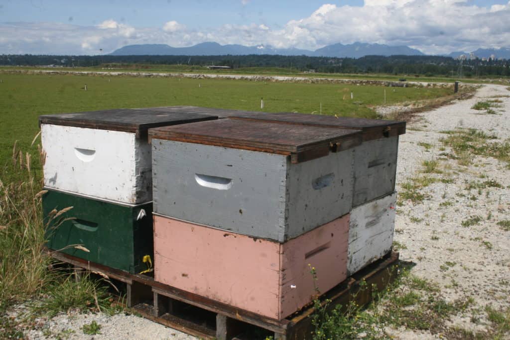 Migratory Pallets – Bee Informed Partnership