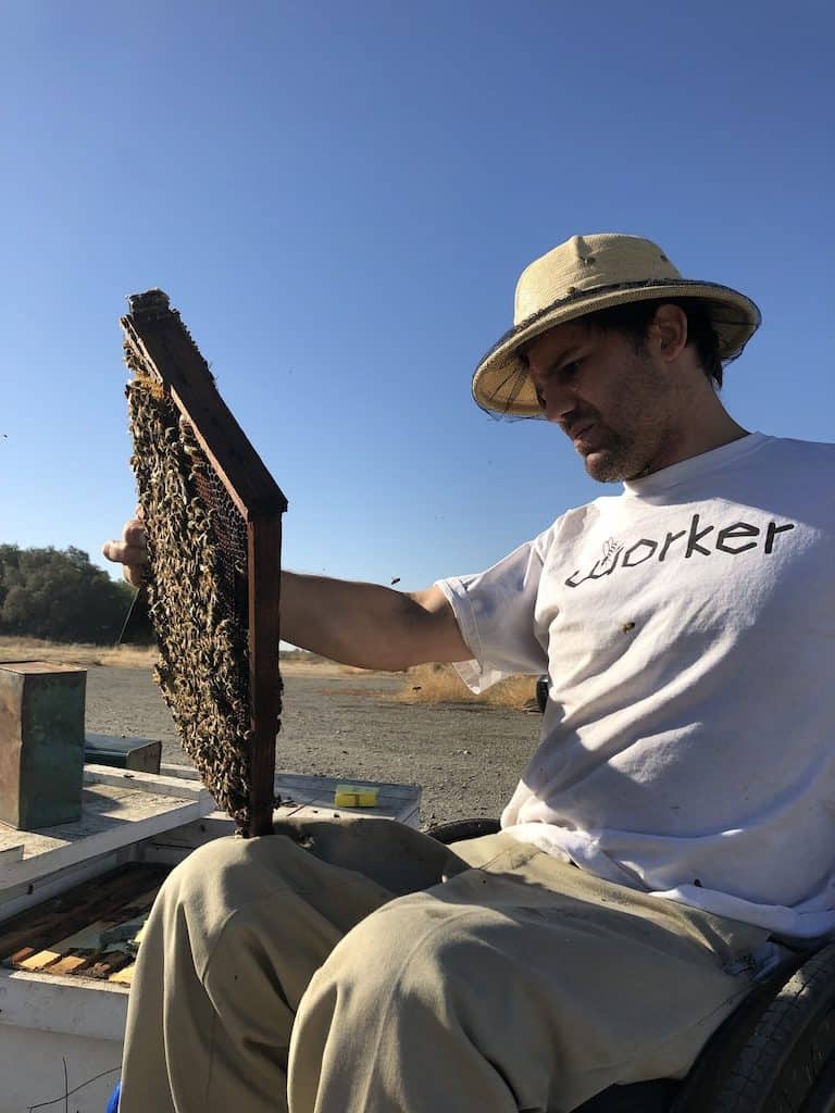 BIP Tech team specialist inspecting a brood frame from a colony
