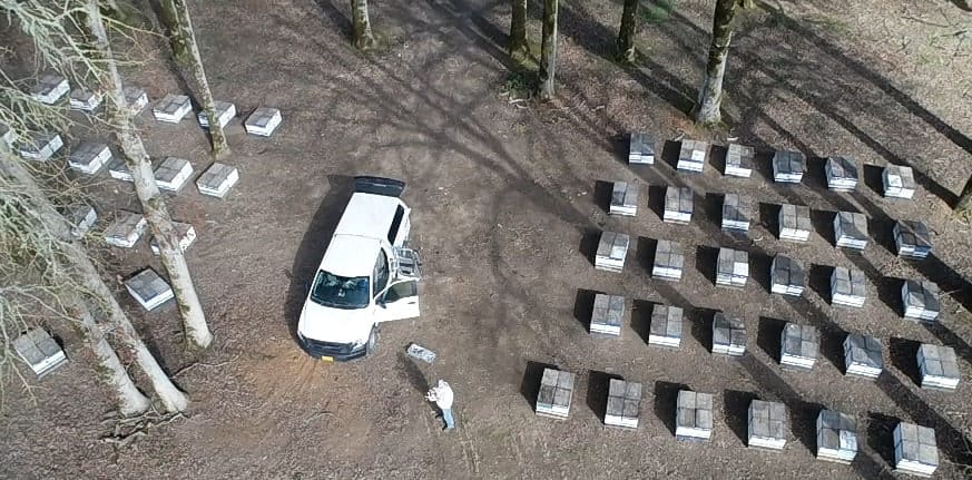 Bee Hives Seen From Drone