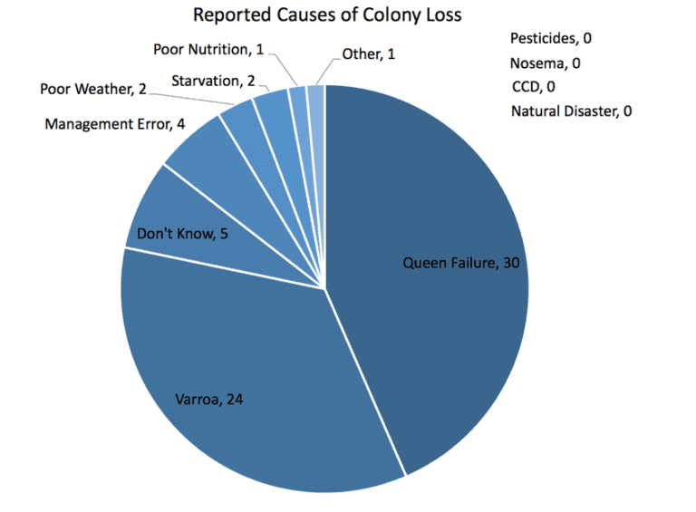 Pie Chart of reported causes of colony death in Sentinel program 2019