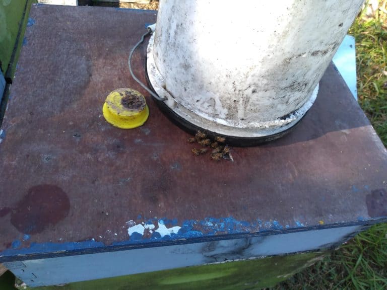 1PC bee feeder plastic 1.5 kg feeding honey feeding box beekeeping  C_dr 