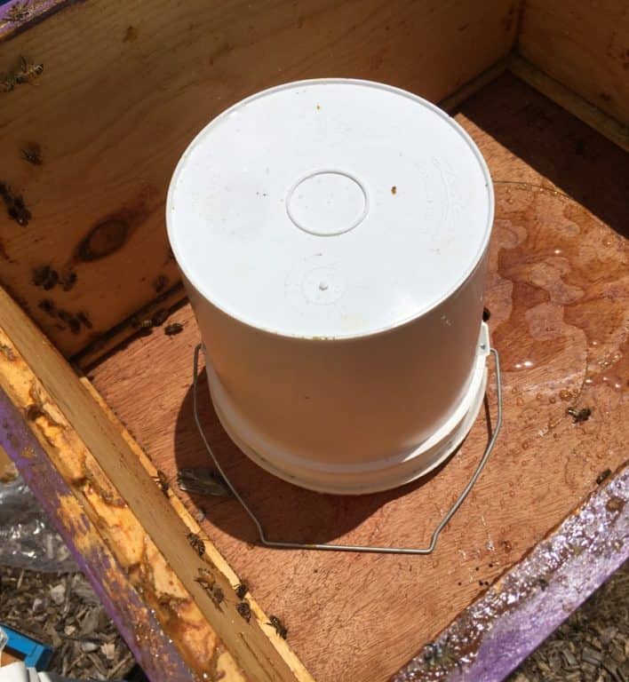 1PC bee feeder plastic 1.5 kg feeding honey feeding box beekeeping  CAH4 