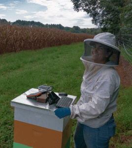 Kelly collecting Sentinel Apiary data