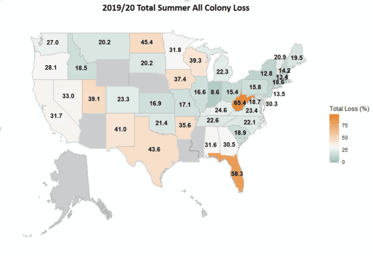 Map of state losses for Summer 2019-20 in USA