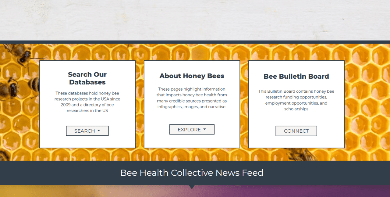 Screengrab of Menu from Bee Health Collective website.