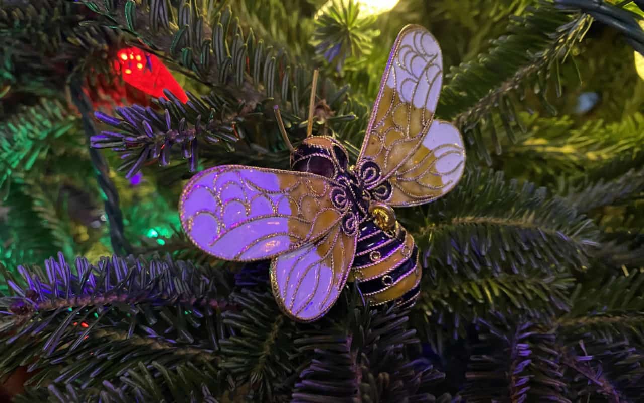 Happy Holidays from Bee Informed Partnership!