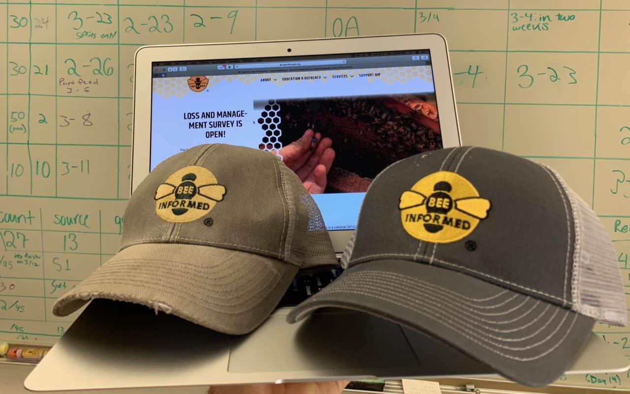 Picture shows one well-worn and one brand new baseball cap with the Bee Informed Partnership logos on the front.
