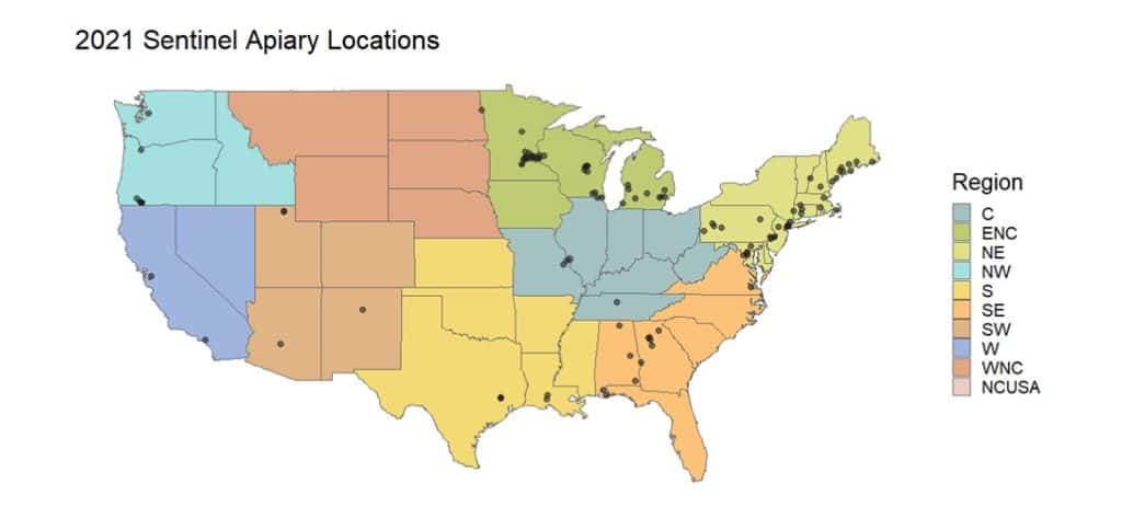 Graphic of the United States. Black dots are placed in geographic locations where Sentinel Apiary Program hives were located in the 2021 season