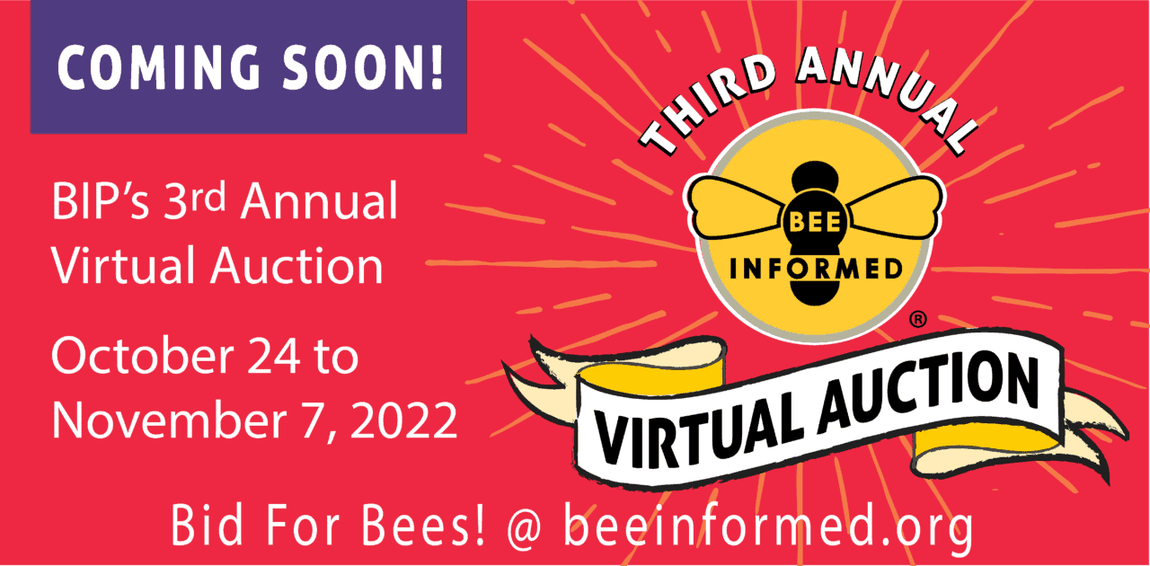 Get Ready to Bid at the 2022 BIP Virtual Auction!!