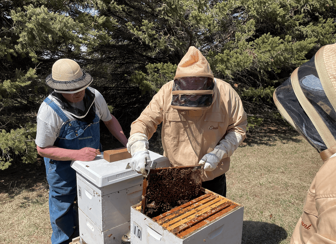 Committing to Keeping Better Records – Bee Informed Partnership